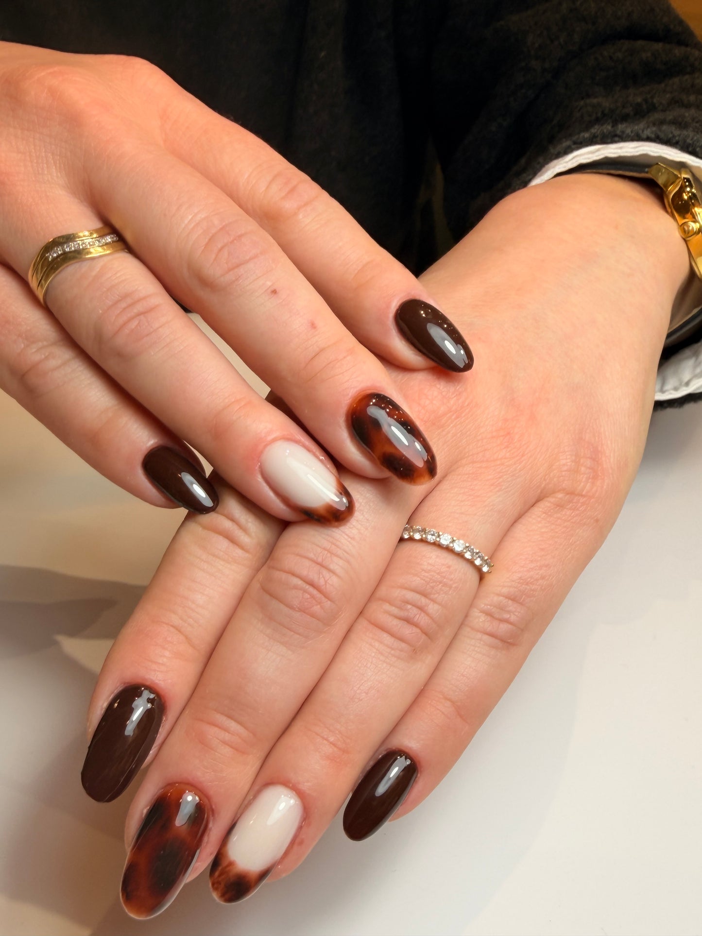 Tortoise Crush – Collection (4 teintes)